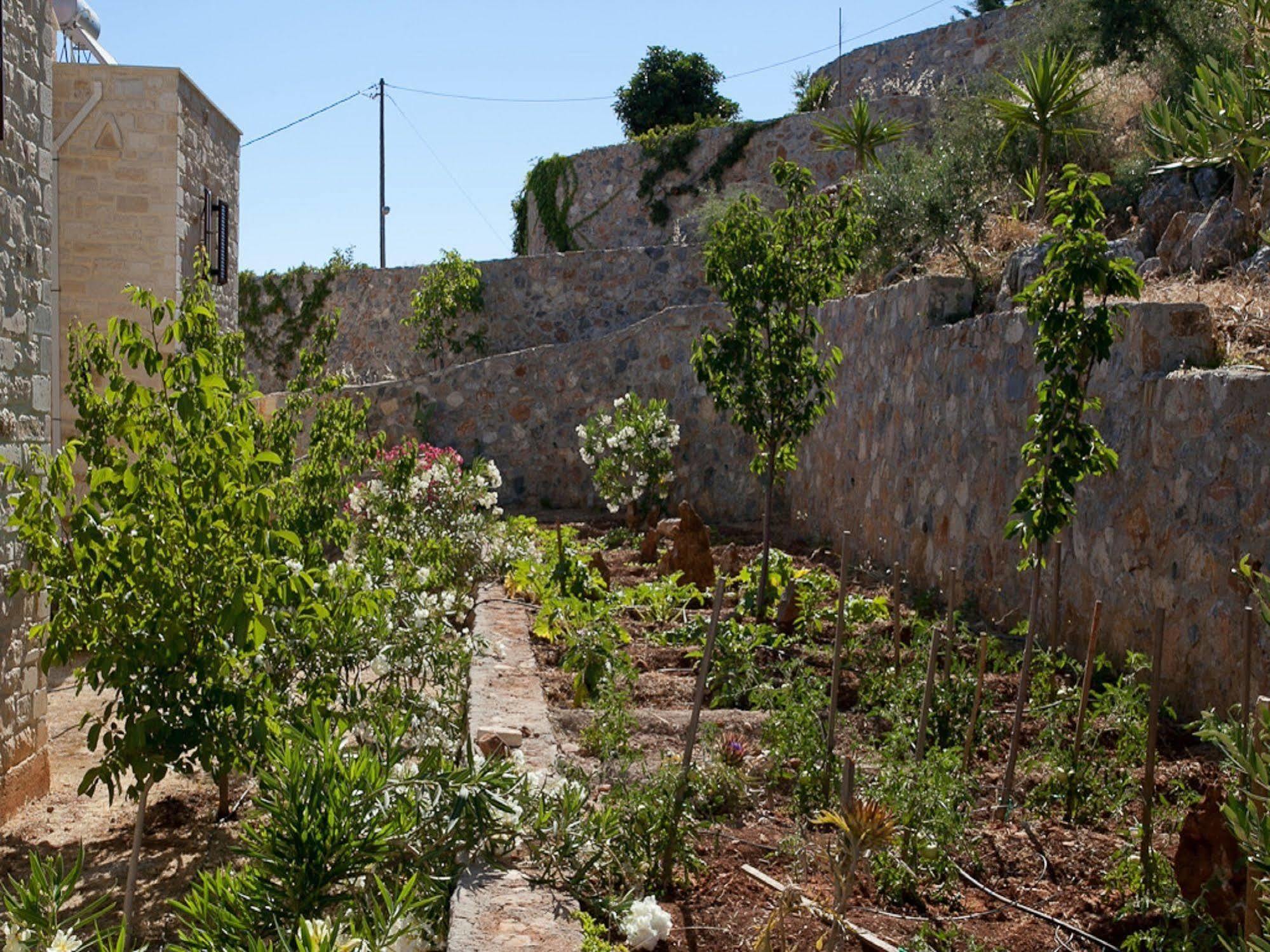Villa Apollo - Saint George'S Retreat Village Kokkino Chorio 外观 照片